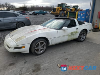 1993 CHEVROLET CORVETTE 1G1YY23P1P5105877 - główne zdjęcie licytacji z USA - miniatura