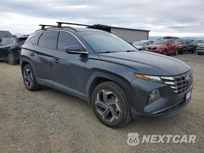 Czwarte zdjęcie samochodu z boku: 2023 HYUNDAI TUCSON LIMITED VIN:5NMJECAE5PH174495 - miniatura