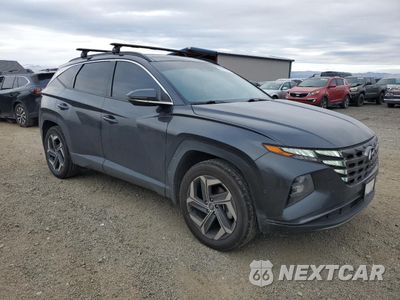 Czwarte zdjęcie samochodu z boku: 2023 HYUNDAI TUCSON LIMITED VIN:5NMJECAE5PH174495 - miniatura