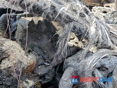 Zdjęcie 9 z 12 samochodu: 2020 KIA SPORTAGE EX VIN:KNDPN3AC1L7818116 - miniatura