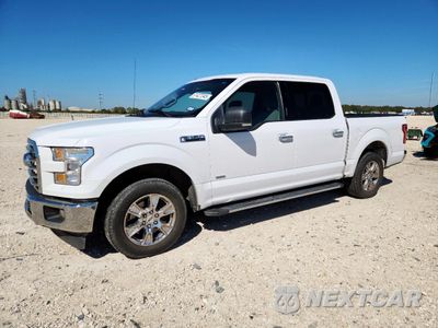 2017 FORD F150 SUPERCREW 1FTEW1CP6HKD82845 - główne zdjęcie licytacji z USA - miniatura