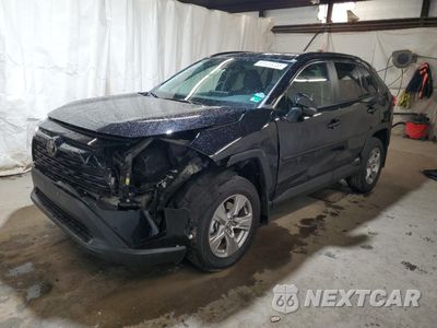 2025 TOYOTA RAV4 XLE 2T3RWRFV1SW261357 - główne zdjęcie licytacji z USA - miniatura