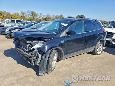 2016 FORD ESCAPE SE 1FMCU0GX6GUA24676 - główne zdjęcie licytacji z USA - miniatura