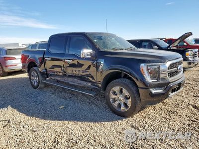 Czwarte zdjęcie samochodu z boku: 2023 FORD F150 SUPERCREW VIN:1FTFW1E83PFB29998 - miniatura
