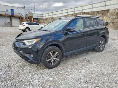 2016 TOYOTA RAV4 XLE 2T3RFREV3GW453839 - główne zdjęcie licytacji z USA - miniatura