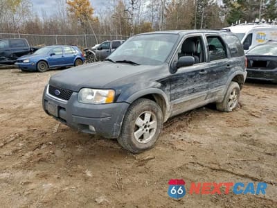 2004 FORD ESCAPE XLT 1FMYU93184KA48870 - główne zdjęcie licytacji z USA - miniatura