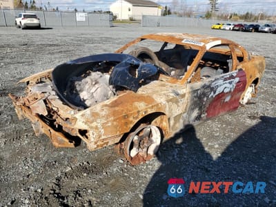 1994 FORD MUSTANG 1FALP4047RF132739 - główne zdjęcie licytacji z USA - miniatura