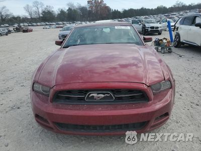 Piąte zdjęcie samochodu w środku: 2014 FORD MUSTANG VIN:1ZVBP8EM3E5273097 - miniatura