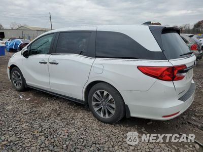 Drugie zdjęcie samochodu z przodu: 2024 HONDA ODYSSEY EXL VIN:5FNRL6H60RB047604 - miniatura
