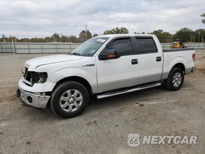 2014 FORD F150 SUPERCREW 1FTFW1CF4EFA54582 - główne zdjęcie licytacji z USA - miniatura