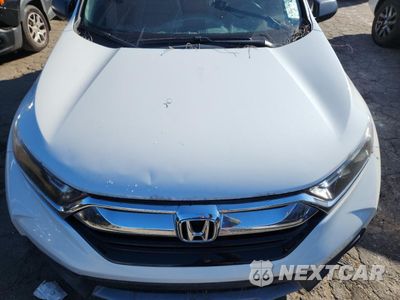 Zdjęcie 12 z 13 samochodu: 2019 HONDA CR-V LX VIN:2HKRW5H36KH405304 - miniatura