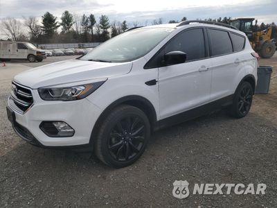 2019 FORD ESCAPE SE 1FMCU0GD0KUB80467 - główne zdjęcie licytacji z USA - miniatura