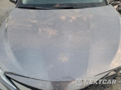 Zdjęcie 12 z 14 samochodu: 2023 TOYOTA CAMRY LE VIN:4T1C11AKXPU111895 - miniatura