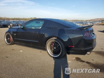 Drugie zdjęcie samochodu z przodu: 2013 FORD MUSTANG GT VIN:1ZVBP8CF8D5274247 - miniatura