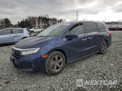 2021 HONDA ODYSSEY EX 5FNRL6H58MB029867 - główne zdjęcie licytacji z USA - miniatura