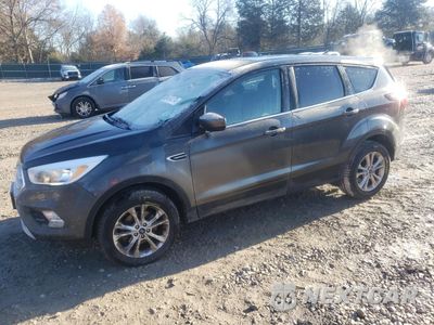 2019 FORD ESCAPE SE 1FMCU0GD5KUC49556 - główne zdjęcie licytacji z USA - miniatura