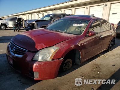 2008 NISSAN MAXIMA SE 1N4BA41E58C810697 - główne zdjęcie licytacji z USA - miniatura