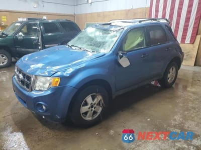 2009 FORD ESCAPE XLT 1FMCU03709KC65881 - główne zdjęcie licytacji z USA - miniatura