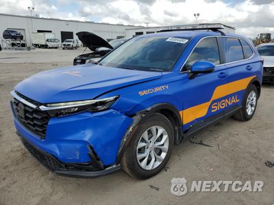 2024 HONDA CR-V LX 2HKRS3H25RH310640 - główne zdjęcie licytacji z USA - miniatura