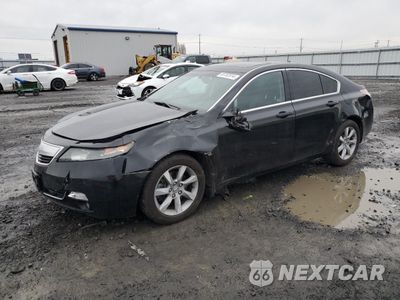 2012 ACURA TL 19UUA8F24CA800340 - główne zdjęcie licytacji z USA - miniatura
