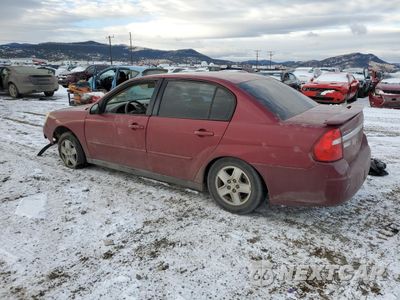 Drugie zdjęcie samochodu z przodu: 2005 CHEVROLET MALIBU LS VIN:1G1ZT54825F224105 - miniatura