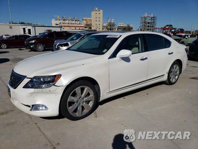 2008 LEXUS LS 600HL JTHDU46F585001814 - główne zdjęcie licytacji z USA - miniatura