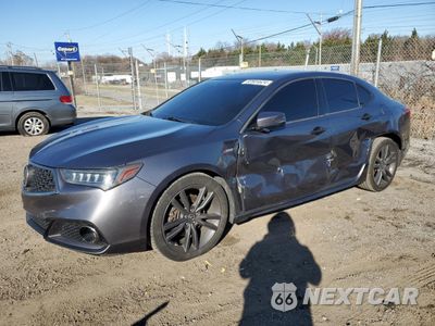 2019 ACURA TLX TECHNOLOGY 19UUB2F67KA006931 - główne zdjęcie licytacji z USA - miniatura