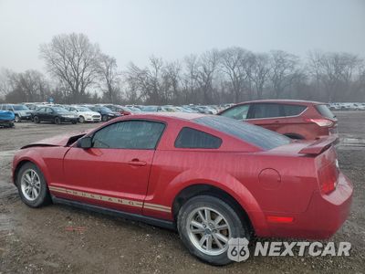 Drugie zdjęcie samochodu z przodu: 2005 FORD MUSTANG VIN:1ZVFT80N955116655 - miniatura