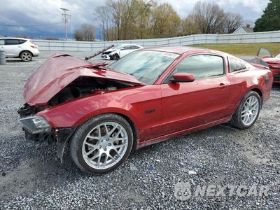 2014 FORD MUSTANG GT 1ZVBP8CF0E5313270 - główne zdjęcie licytacji z USA - miniatura