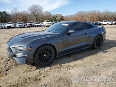 2019 FORD MUSTANG 1FA6P8TH4K5120594 - główne zdjęcie licytacji z USA - miniatura
