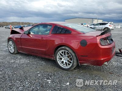 Drugie zdjęcie samochodu z przodu: 2014 FORD MUSTANG GT VIN:1ZVBP8CF0E5313270 - miniatura