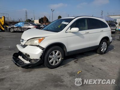 2008 HONDA CR-V EXL JHLRE387X8C019275 - główne zdjęcie licytacji z USA - miniatura