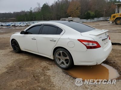 Drugie zdjęcie samochodu z przodu: 2011 NISSAN MAXIMA S VIN:1N4AA5AP6BC805308 - miniatura