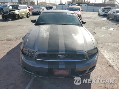 Piąte zdjęcie samochodu w środku: 2014 FORD MUSTANG VIN:1ZVBP8AM7E5239749 - miniatura