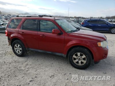 Czwarte zdjęcie samochodu z boku: 2010 FORD ESCAPE LIMITED VIN:1FMCU9EGXAKC59320 - miniatura