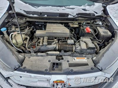Zdjęcie 12 z 13 samochodu: 2019 HONDA CR-V EX VIN:5J6RW2H53KL015346 - miniatura