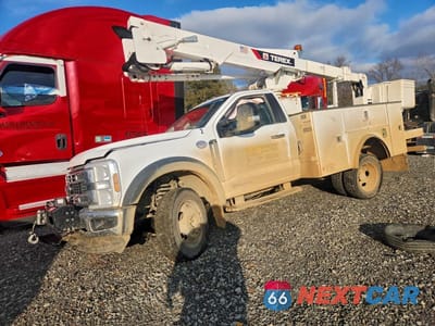 2024 FORD F550 SUPER DUTY 1FDUF5HT9RDA06733 - główne zdjęcie licytacji z USA - miniatura
