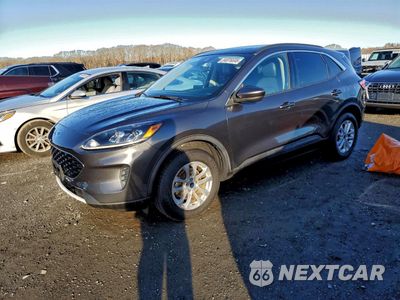 2020 FORD ESCAPE SE 1FMCU9G65LUB53479 - główne zdjęcie licytacji z USA - miniatura