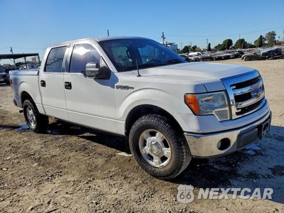 Czwarte zdjęcie samochodu z boku: 2013 FORD F150 SUPERCREW VIN:1FTEW1CM8DKE94191 - miniatura