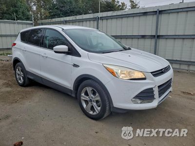 Czwarte zdjęcie samochodu z boku: 2014 FORD ESCAPE SE VIN:1FMCU0GX1EUC61606 - miniatura
