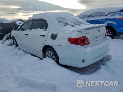 Drugie zdjęcie samochodu z przodu: 2010 TOYOTA COROLLA VIN:2T1BU4EE8AC529664 - miniatura