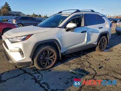 2024 TOYOTA RAV4 XLE PREMIUM JTMB6RFV6RJ056840 - główne zdjęcie licytacji z USA - miniatura
