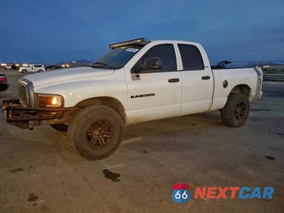2002 DODGE RAM 1500 1D7HA18Z62J162954 - główne zdjęcie licytacji z USA - miniatura