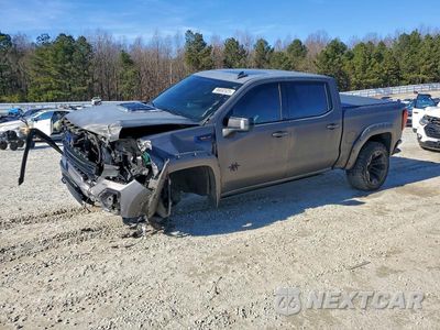 2020 GMC SIERRA K1500 AT4 3GTP9EED6LG199195 - główne zdjęcie licytacji z USA - miniatura