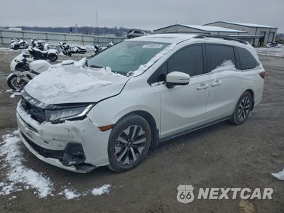 2025 HONDA ODYSSEY EXL 5FNRL6H6XSB001638 - główne zdjęcie licytacji z USA - miniatura