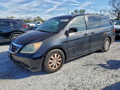 2010 HONDA ODYSSEY EXL 5FNRL3H71AB045727 - główne zdjęcie licytacji z USA - miniatura