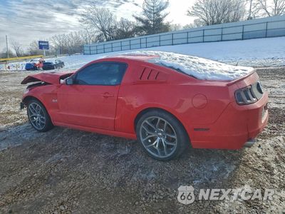 Drugie zdjęcie samochodu z przodu: 2014 FORD MUSTANG GT VIN:1ZVBP8CF9E5316491 - miniatura