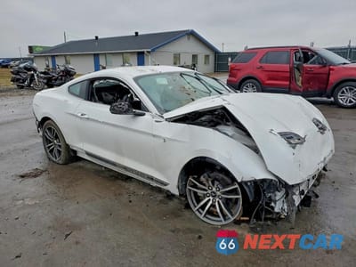 Czwarte zdjęcie samochodu z boku: 2019 FORD MUSTANG VIN:1FA6P8THXK5124696 - miniatura