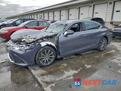 2021 LEXUS ES 250 58AD11D16MU002023 - główne zdjęcie licytacji z USA - miniatura