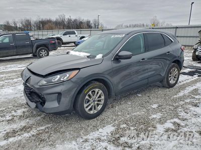 2021 FORD ESCAPE SE 1FMCU9BZ8MUB27011 - główne zdjęcie licytacji z USA - miniatura